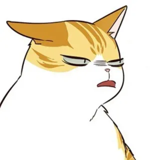 🐈 f61892c7 猫, 生气, 不高兴, 猫科动物, 动物 telegram sticker