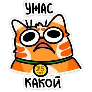 ⭐ c43b8116 УНАС КАКОЙ 고양이, 스티커, 만화, 웃긴, 주황색 telegram sticker