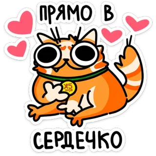 ⭐ de0c0d2e ПРЯМО В СЕРДЕЧКО 고양이, 하트, 사랑, 귀여운, 만화 telegram sticker