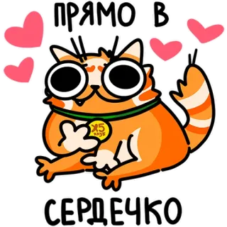 🥰 9a55fc62 ПРЯМО В
СЕРДЕЧКО gatto, cuori, carino, cartone animato, animale telegram sticker