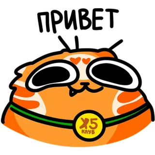😏 afc877c3 ПРИВЕТ gatto, cartone animato, saluto, carino, arancione telegram sticker