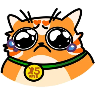 🥺 dda2ced1 X5 КЛУБ gatto, carino, kawaii, triste, animale, arancione, adesivo telegram sticker