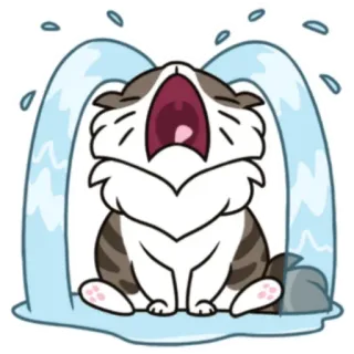 😭 3d4786d4 huilen, verdrietig, kat, dier, tranen, emotie telegram sticker