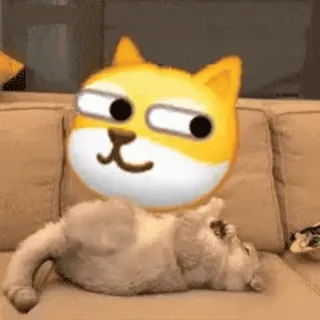 ⚽️ c31e15ab cane, animale, emoji, animale domestico, divano, gatto telegram sticker