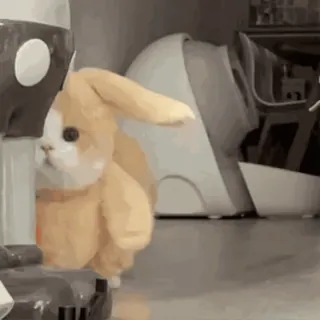 🌚 f8f050ba coniglio, animale, carino, animale domestico, interno telegram sticker