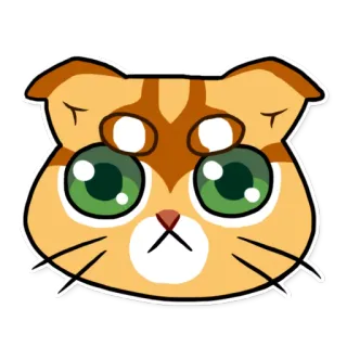 🐱 77207cff kot, kociak, słodki, naklejka, zwierzę, zwierzę domowe, kot domowy, kotowaty whatsapp sticker