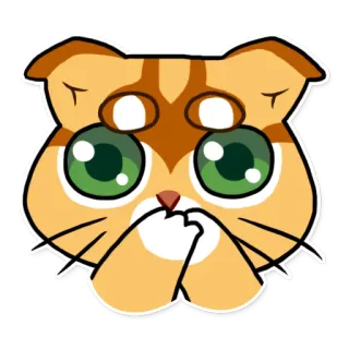 🙊 b3ce8008 kot, słodki, kawaii, kociak, zwierzę, zwierzę domowe, naklejka whatsapp sticker