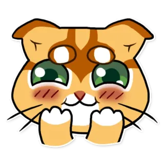 ☺️ dc7615c6 kot, uroczy, zwierzę, kawaii, naklejka whatsapp sticker