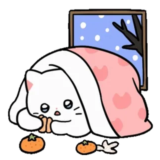 ❤️ bdda3a8a 고양이, 겨울, 귀여운, 카와이, 담요, 눈 telegram sticker