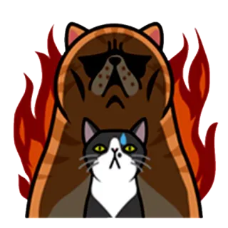 😡 a8caef62 猫, 怒り, ミーム, 面白い, 動物, ペット telegram sticker