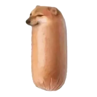 Котики - @Tg_stickersu whatsapp stickers