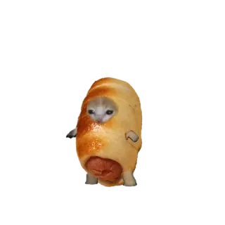 ❤️ 71b19eb8 кот, хот-дог, смешной, мем, животное telegram sticker