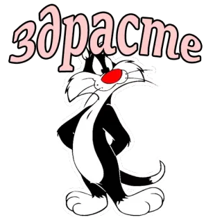 😀 a8738747 Sylvester Здрасте 卡通, 猫, 西尔维斯特, 问候, 俄语, 动画 telegram sticker