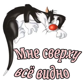 😠 bdc63438 Мне сверху всё видно 猫, 文字, 俄语, 贴纸 telegram sticker