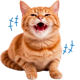 🤣 4dcdb60b Katze, rote Katze, süß, Haustier, Tier, lustig, Kätzchen telegram sticker