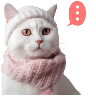 🫥 df3ce572 Katze, Tier, Kätzchen, süß, Schal, Winter, Hut telegram sticker