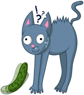 Кот Вася telegram stickers