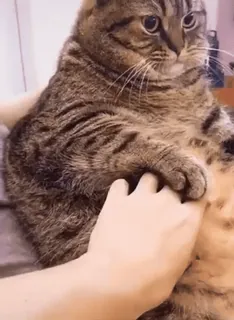 @Bhumika_2704 (Video Pack 3) telegram stickers