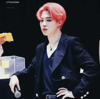 🕊 85c41079 Jimin LITTLE BLOSSOM kpop, 歌手, 偶像, 肖像, 男人, jimin telegram sticker