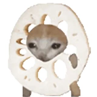 🐈 2d01af23 猫, ミーム, 面白い, 動物, ステッカー, 悲しい猫 telegram sticker