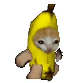 🐈 4667c154 猫, バナナ, ミーム, 面白い, かわいい, 動物, フルーツ, ペット telegram sticker