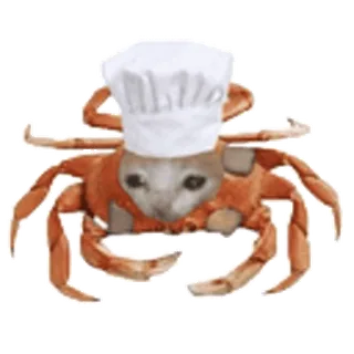 🦀 90cd896d 猫, カニ, シェフ, 動物, かわいい, 食べ物, キッチン telegram sticker