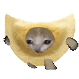 🐈 92c3cc46 猫, 悲しい, ミーム, 動物, 面白い telegram sticker