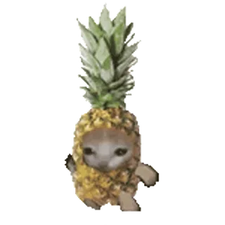 🐈 af66f3eb 猫, パイナップル, 動物, フルーツ, コスチューム, 面白い telegram sticker
