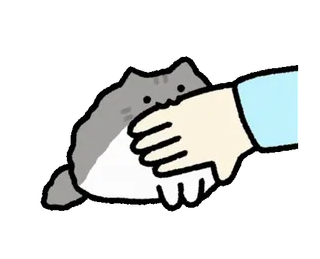 😖 7cb15501 cat, hand, pet, animal, cute, grey telegram sticker