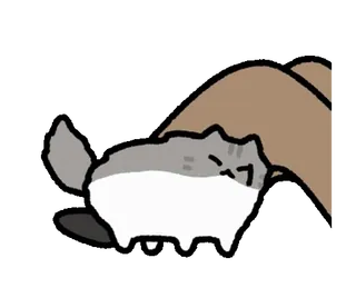 😩 97578504 cat, cute, animal, sticker, pet, domestic animal, grey cat telegram sticker