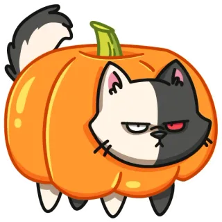 😐 9519d479 kucing, labu, halloween, imut, hewan, musim gugur telegram sticker