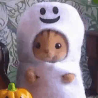 😊 154b6a7a 猫, 服装, 万圣节, 幽灵, 可爱, 动物 telegram sticker