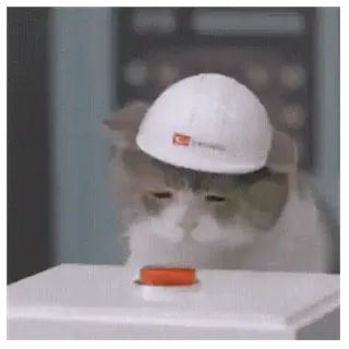 😊 599a3ba2 猫, 头盔, 动物, 可爱, 宠物, 搞笑 telegram sticker