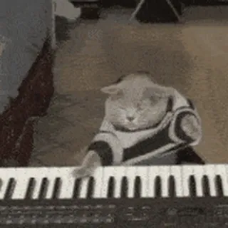 😊 741c18ad 猫, 钢琴, 键盘, 音乐, 动物, 搞笑, 宠物 telegram sticker