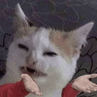 😁 85355825 猫, 表情包, 耸肩, 动物, 搞笑 telegram sticker