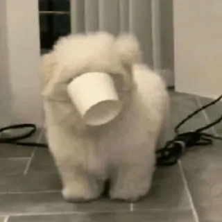 🫥 a822e280 狗, 小狗, 杯子, 可爱, 搞笑, 宠物, 动物 telegram sticker