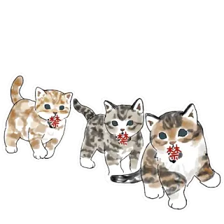 🐱 407356c8 禁 chaton, chat, kawaii, autocollant, japon, japonais, mignon telegram sticker