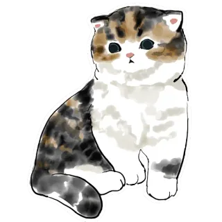 🐱 6629f366 chat, chaton, mignon, calico, animal de compagnie, animal telegram sticker