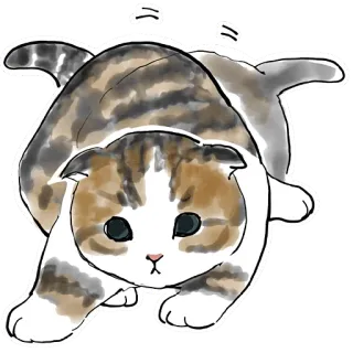 🥺 c8717dda chat, chaton, animal, animal de compagnie, mignon, domestique, félin, autocollant telegram sticker