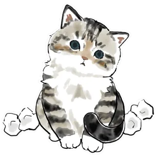 🙄 ce747795 chat, chaton, animal, mignon, animal de compagnie, domestique, félin telegram sticker