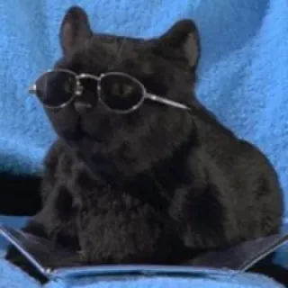 Cats by Lola telegram stickers