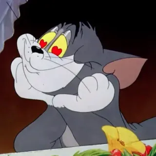 cats club whatsapp stickers