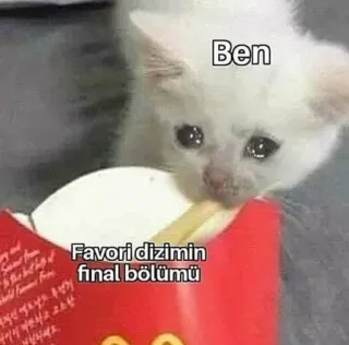 🐱 cdfaf26b Ben
Favori dizimin final bölümü chat, triste, pleurs, mème, turc, texte, final, épisode telegram sticker