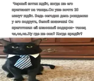 🤩 f5bf718e Черный котик ждёт, когда же его
пригласят на танцы. Он уже почти 20
минут ждёт. Ведь сегодня день рождения
у его подруги, белой кошечки! Он
приготовил ей классный подарок- танец
ча,ча,ча. Ну где же она? Когда придет? cat, kitten, birthday, dance, russian, greeting, animal telegram sticker