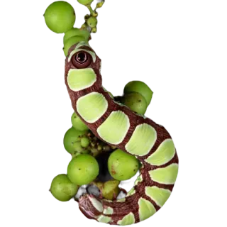 💚 1fdd40b5 애벌레, 초록색, 갈색, 자연, 곤충, 매크로, 야생 동물 telegram sticker