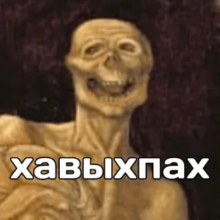 🤪 3e96059c Хавыхпах squelette, mème, art, crâne, drôle whatsapp sticker