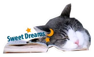 💤 0ecde5dc Sweet Dreams kucing, tidur, buku, mimpi indah, bulan, bintang, mengantuk, hewan whatsapp sticker