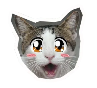 😃 230cd2cc kucing, anak kucing, anime, imut, kawaii, hewan, hewan peliharaan whatsapp sticker
