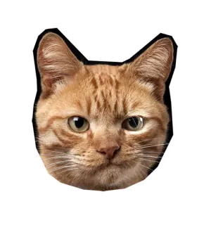 😕 291a6dca kucing, hewan, peliharaan, oranye, kucing, kucing domestik whatsapp sticker