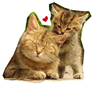 ❤ 9e840685 kucing, anak kucing, hewan, hewan peliharaan, imut, ibu, keluarga, cinta whatsapp sticker